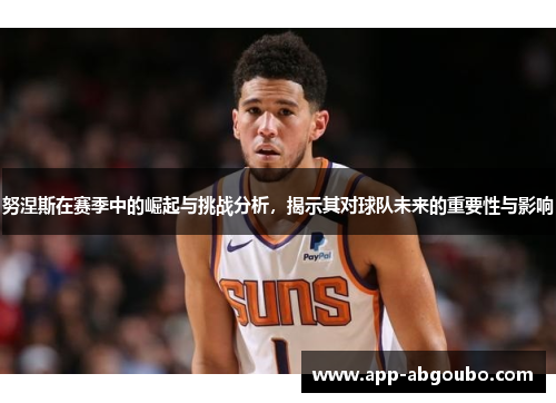 努涅斯在赛季中的崛起与挑战分析，揭示其对球队未来的重要性与影响